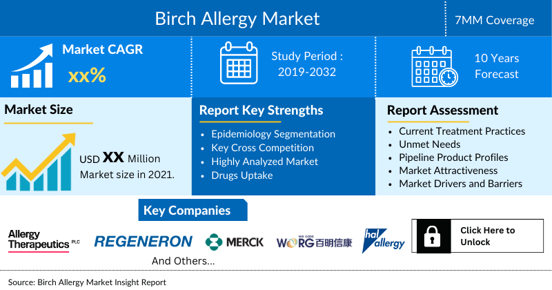Birch Allergy Market