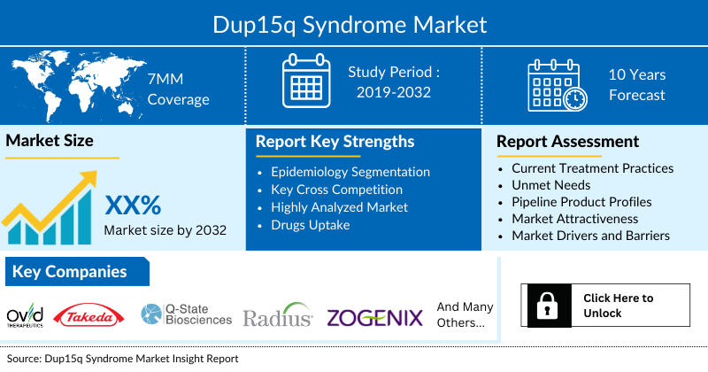 Dup15q Syndrome Market