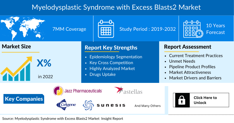 Myelodysplastic Syndrome with Excess Blasts2 Market