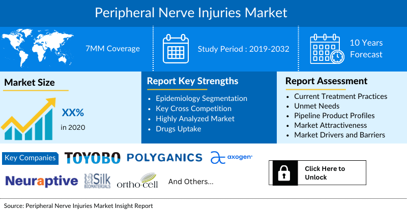 Peripheral Nerve Injuries Market