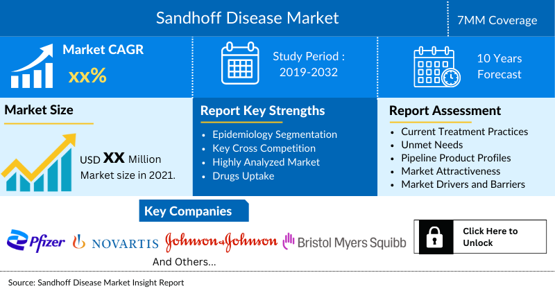 Sandhoff Disease Market