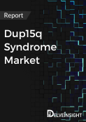 Dup15q Syndrome Market Report