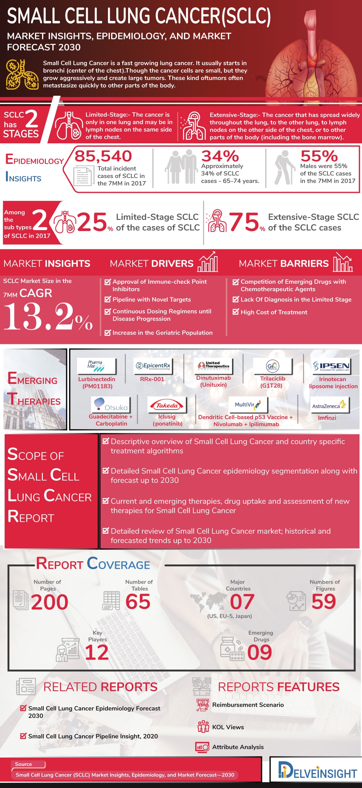 Small Cell Lung Cancer Sample Report covering Drugs, Companies, Market